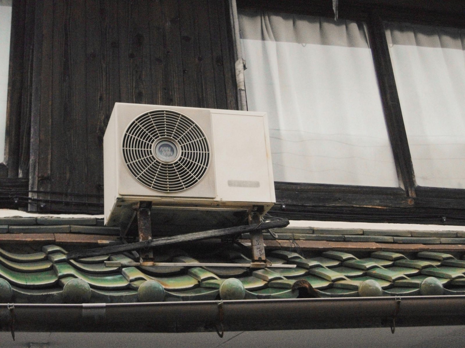 Image3